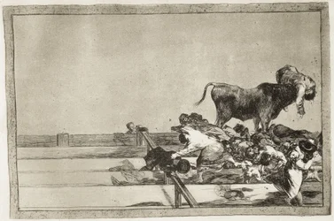 Strašlivé události v předních řadách madridské arény a smrt starosty Torrejónu v roce 1801. 1816. List 21 z cyklu „Umění býčích zápasů“. Španělsko. Madrid (autonomní společenství). Madrid. Národní knihovna