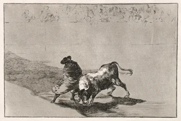 Chytrý student Falces rozzuří býka tím, že se pohybuje zabalený v jeho plášti, 1814-16