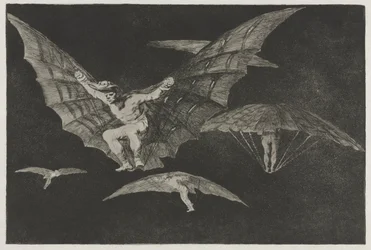 The Proverbs: A Way of Flying, 1864.