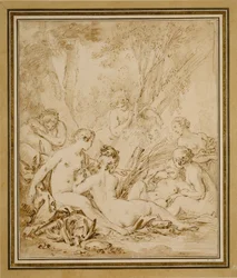 Diana a Callisto