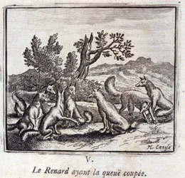 Ilustrace z 