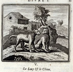Vlk a pes Bajky Jean de La Fontaine (1621-95). Ilustrace Francois Chauveau (1613-1676). Vydání z roku 1728.