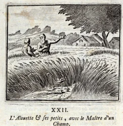 Alouette a jeho děti s mistrem pole. Bajky Jean de La Fontaine (1621-95). Ilustrace François Chauveau (1613-1676). Vydání z roku 1728.