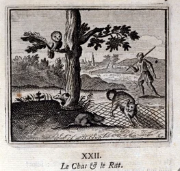 Kočka a krysa. Bajky Jean de La Fontaine (1621-95). Ilustrace Francois Chauveau (1613-1676). Vydání z roku 1728.