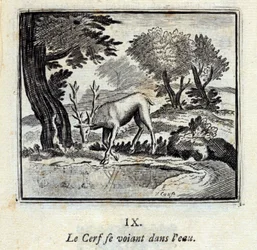 Jelen se vidí ve vodě. Bajky Jean de La Fontaine (1621-95). Ilustrace François Chauveau (1613-1676). Vydání z roku 1728.