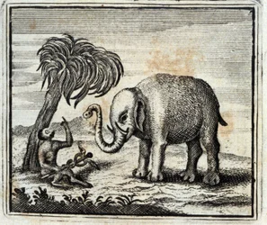 Slon a opice Jupitera. Bajky Jean de La Fontaine (1621-95). Ilustrace François Chauveau (1613-1676). Vydání z roku 1728.