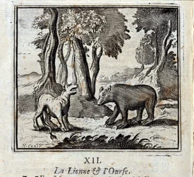 Lvice a medvěd. Bajky Jean de La Fontaine (1621-95). Ilustrace François Chauveau (1613-1676). Vydání z roku 1728.