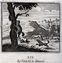 Kočka a liška. Bajky Jean de La Fontaine (1621-95). Ilustrace François Chauveau (1613-1676). Vydání z roku 1728.