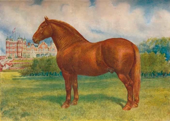 Suffolk otec Prince Wedgwood, c1902 c1910