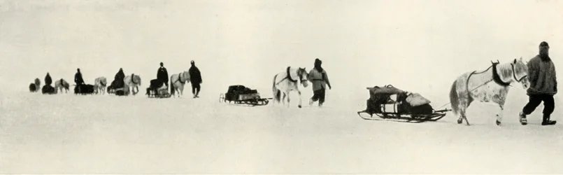 Poníci v březnu 1911, 1913