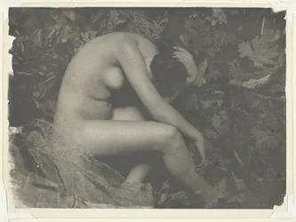 Cikáda, 1898.