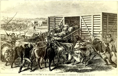 Cattle Chute v Abilene, Kansas, c. 1871 (rytina)