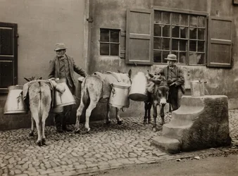 Mléční osli, c. 1890.