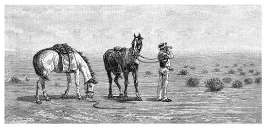 Nic v dohledu, 1886.