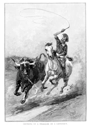 Rounding Up A Straggler On A Cattle Run, Austrálie, 1886
