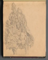 Album s Pohledy na Řím a okolí, Krajinářské studie, strana 13a: Stromy.