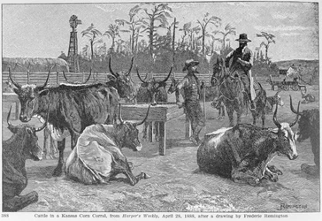 Dobytek v Kansas Corn Corral, ilustrace z 