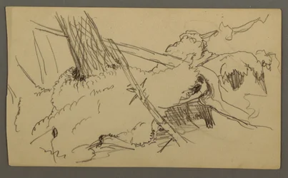 Kresba, Základna stromu, balvan, pravděpodobně 1877