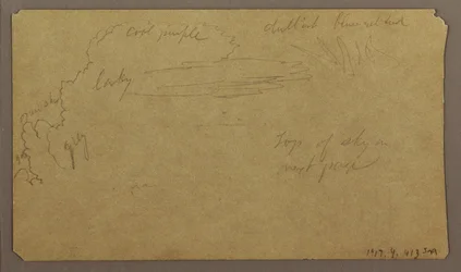 Kresba, botanické skici; Verso: Mraky, červenec 1865