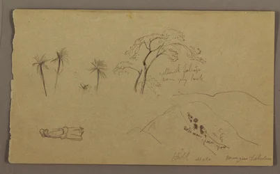 Kresba, botanické skici, figura, květen-srpen 1865