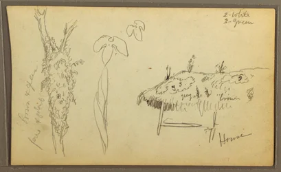 Kresba, botanické skici, dům; botanické skici, 1857