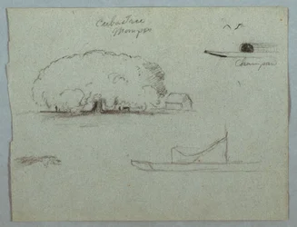 Kresba, strom Ceiba u Momposu, kanoe Champan, stromy a částečný člun, Rio Magdelena, Kolumbie, 1853, pravděpodobně květen