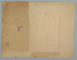 Kresba, Detaily oslích hlav, Jižní Amerika, 1853