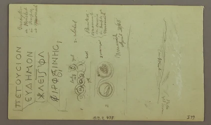 Kresba, Fasáda, pokud Parrelorium, 28. dubna 1868