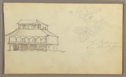 Kresba, Dům, Botanická skica, Ekvádor nebo Kolumbie, 1857