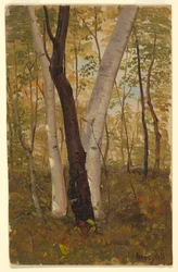Kresba, V lese, Hudson, New York, říjen 1865
