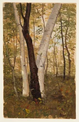 Kresba, V lese, Hudson, New York, říjen 1865