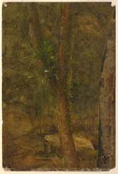 Kresba, scéna z džungle, červen 1865