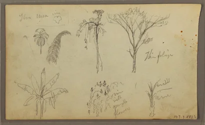 Kresba, Krajina, Guayaquil, Ekvádor, 21. května 1857
