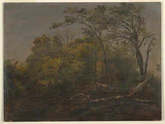 Kresba, Maine Woods, 1845-55