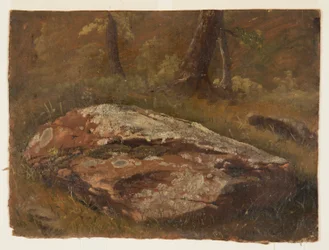 Kresba, Mossy Rock, srpen 1845
