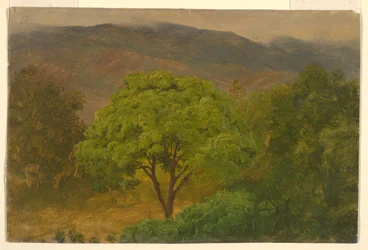 Kresba, Horská krajina, srpen 1865