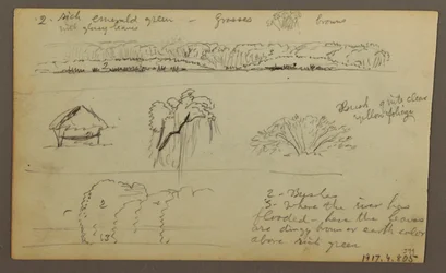 Kresba, horské pásmo "vstupující do Guayaquilu"; Verso: břeh řeky, botanické skici, pravděpodobně 1857