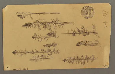 Kresba, vrchol hory, 1877