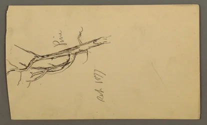 Kresba, Pine, září 1877