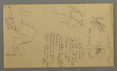 Kresba, studie rostlin, poznámky k rostlinám, vodopád, 1868