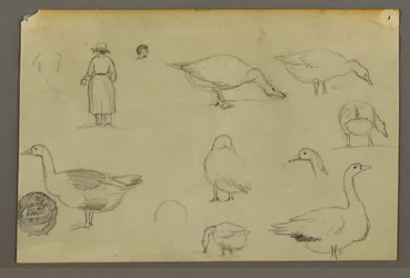 Kresba, Déšť nad kopci, pravděpodobně 1866