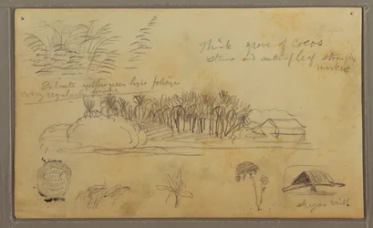 Kresba, Sketches, Ecuador or Colombia; Verso: Sketches, Ecuador or Colombia, 1857