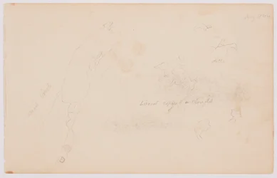 Kresba, Náčrtky mraků a mrtvé břízy, červenec 1844