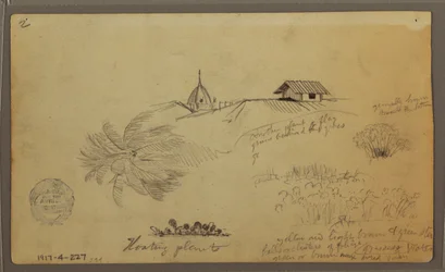 Kresba, Nebe nad mořem; Verso: Botanické skici, Střechy, květen 1857