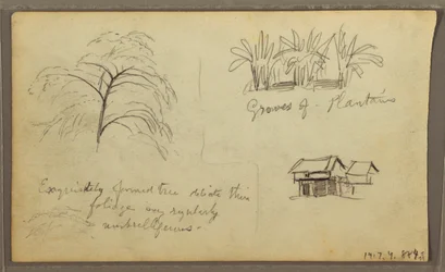 Kresba, roh ulice v Guaquilu, Ekvádor; Verso: Botanické skici, dům, Ekvádor nebo Kolumbie, 1857