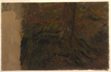 Kresba, Studie kmene stromu, 1850-60