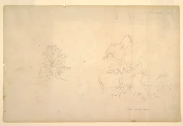 Kresba, Strom a kmen mrtvého stromu, září 1844