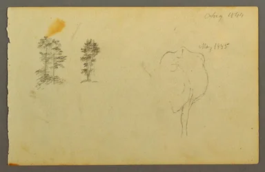 Kresba, stromy, kráva, 1844