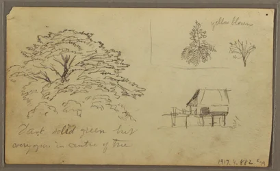Kresba, Pohled na Guayaquil, Ekvádor, 23. května 1857