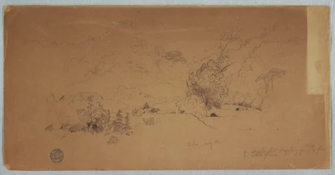 Kresba, Pohled na Toche, Kolumbie, červenec 1853
